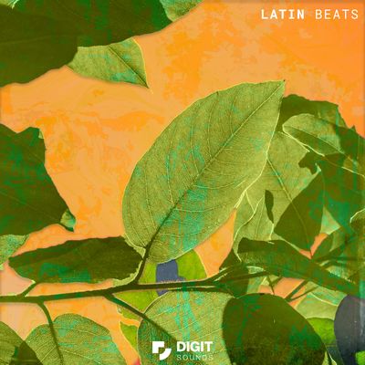 Download Sample pack Latin Beats