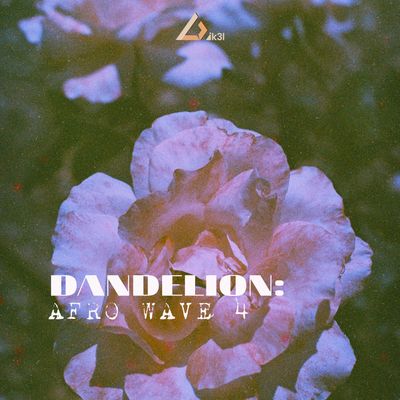 Download Sample pack Dandelion IV: Afrobeats Sample Pack