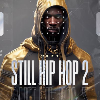 Download Sample pack Still Hip Hop 2