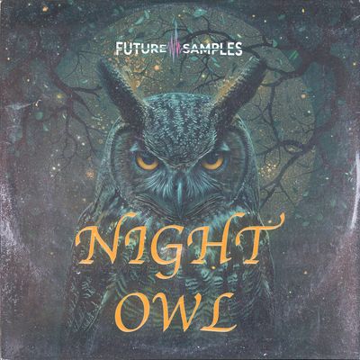 Download Sample pack NIGHT OWL - R&B Melodies