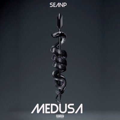 Download Sample pack Medusa Afro Melodies