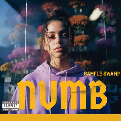 Download Sample pack NUMB AFROSOUL