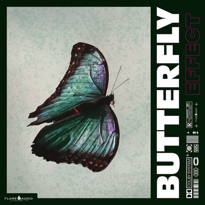 Download Sample pack BUTTERFLY EFFECT: Trap and Drill Samples