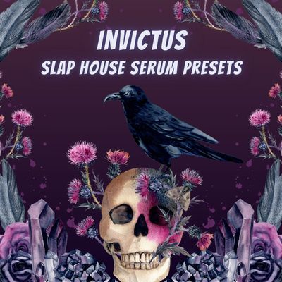 Download Sample pack Invictus - Slap House Serum Presets