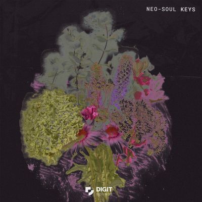 Download Sample pack Neo Soul Keys