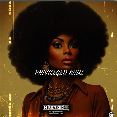 Download Sample pack Privileged Soul Vintage Sample Pack