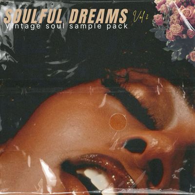 Download Sample pack Soulful Dreams Vol 2 - Vintage Soul Sample pack