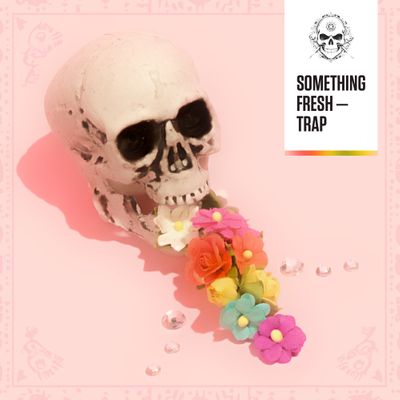 Download Sample pack Something Fresh - Trap