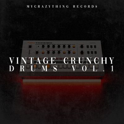 Download Sample pack Vintage Crunchy Drums Vol.1