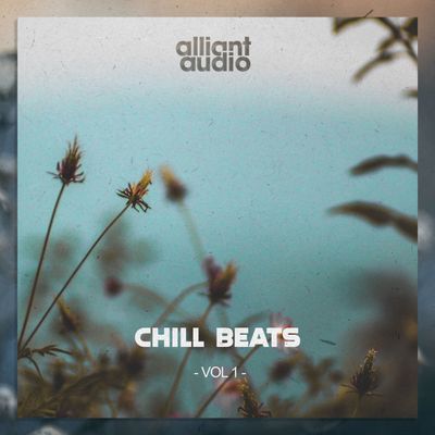 Download Sample pack Chill Beats Vol.1