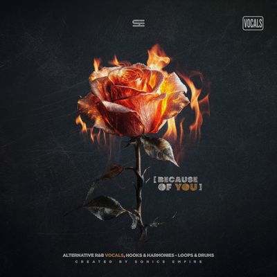 Download Sample pack Because of You: Vocals