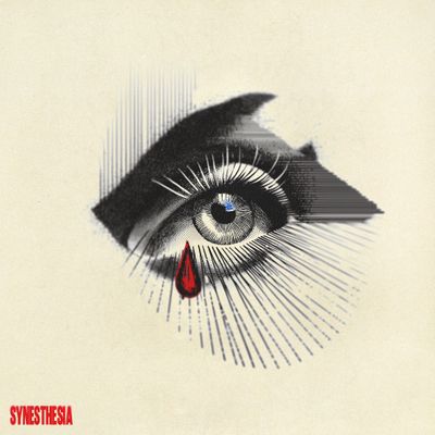 Download Sample pack Synesthesia Analog Lab Bank