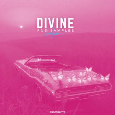 Download Sample pack Divine Vol 2 - RnB Samples