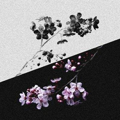 Download Sample pack Gloomy Vibes Vol.7