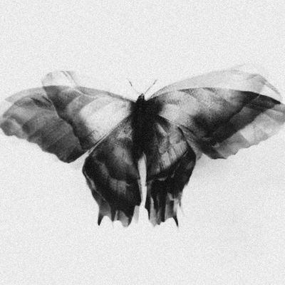 Download Sample pack Gloomy Vibes Vol.8