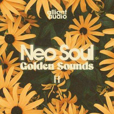 Download Sample pack Neo Soul Golden Sounds Vol.2