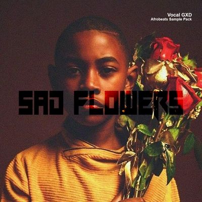 Download Sample pack Sad Flowers: Afrobeats Sample Pack