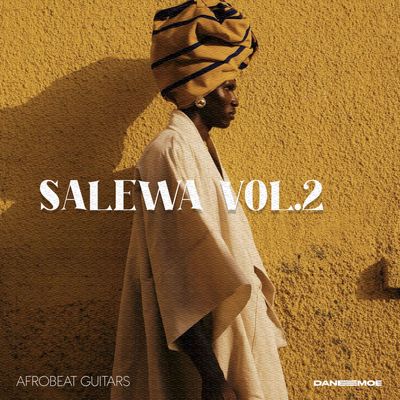 Download Sample pack SALEWA Afrobeat Guitars vol. 2
