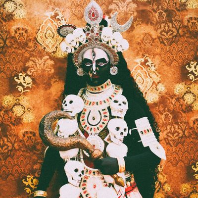 Download Sample pack Rite Of Passage