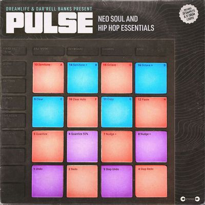Download Sample pack Pulse - Neo Soul & Hip-Hop Essentials