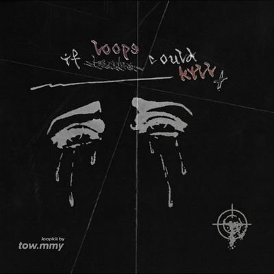 Download Sample pack IfLoopsCouldKill - Trap Loop Kit