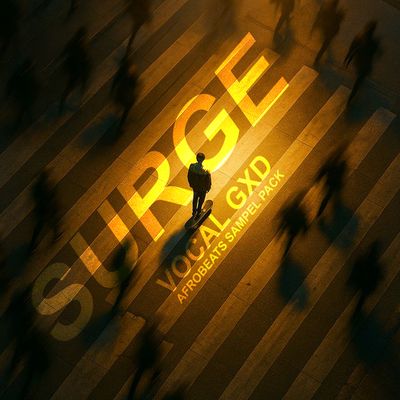 Download Sample pack Surge: Afrobeats Sample Pack