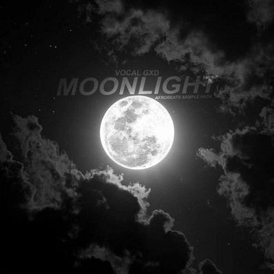 Download Sample pack Moonlight: Afrobeats Sample Pack
