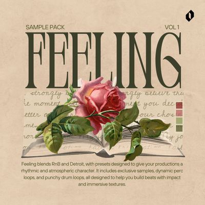 Download Sample pack FEELING - RNB VS DETROIT