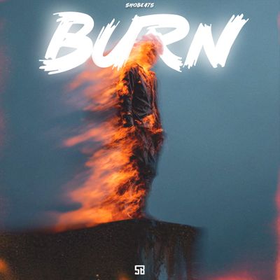 Download Sample pack Burn
