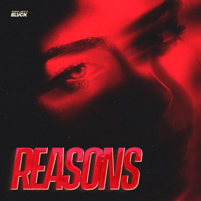 Download Sample pack Reasons - RNB SAMPLES