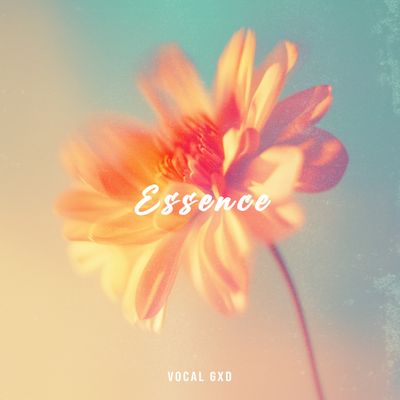 Download Sample pack Essence: Afrobeats Sample Pack