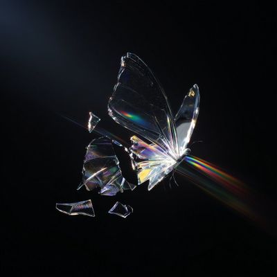 Download Sample pack Never Back Pt.2