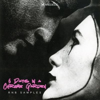 Download Sample pack 6 days in a chrome Garden - RNB & TRAP SOUL