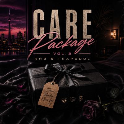 Download Sample pack Care Package Vol. 3 - RnB & Trapsoul