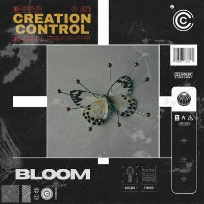 Download Sample pack Bloom Sample Pack
