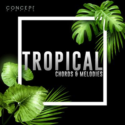 Download Sample pack Tropical Chords & Melodies