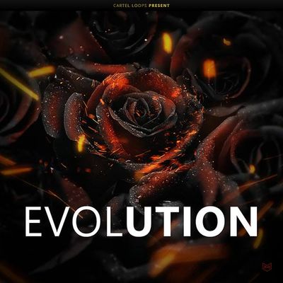 Download Sample pack Black Roses Evolution