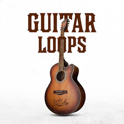 Download Sample pack Guitar Loops