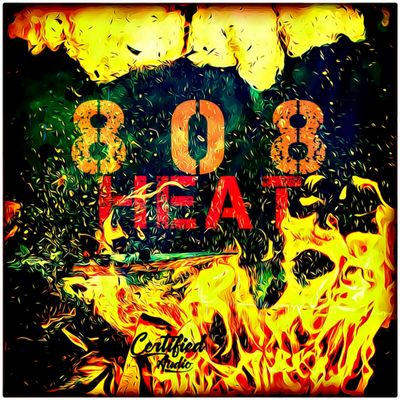 Download Sample pack 808 Heat