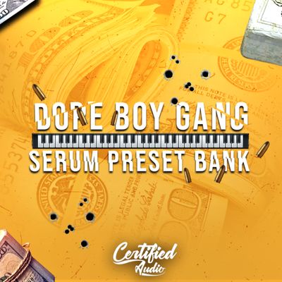 Download Sample pack Dope Boy Gang (Serum PresetBank)