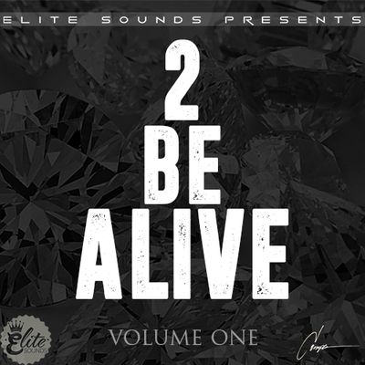 Download Sample pack 2 Be Alive Vol.1
