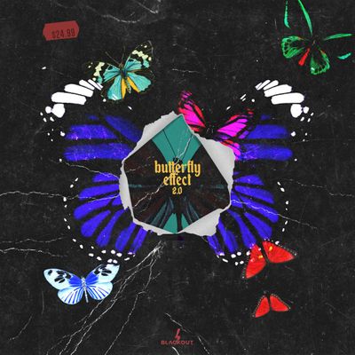 Download Sample pack Butterfly Effect 2