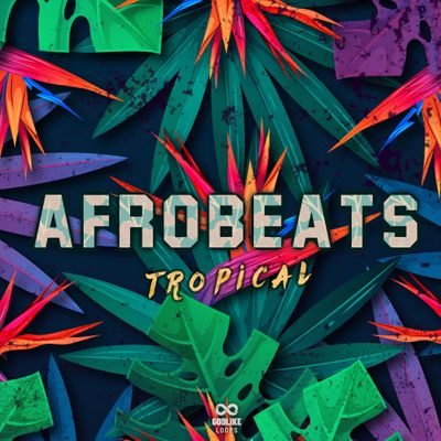 Download Sample pack Afrobeats Tropical