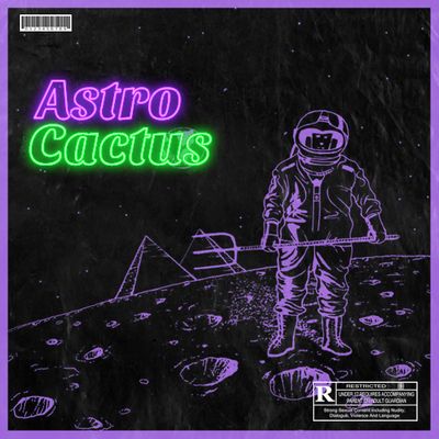 Download Sample pack Astro Cactus