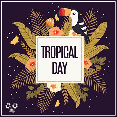 Download Sample pack Tropical Day