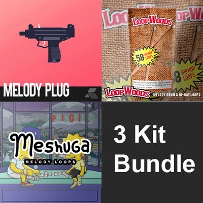Download Sample pack Melody Loops Bundle