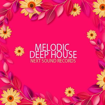 Download Sample pack Melodic Deep House