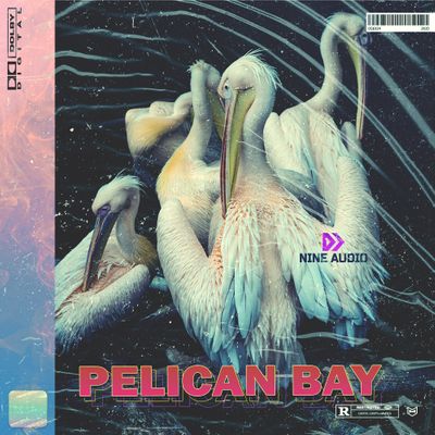 Download Sample pack Pelican Bay
