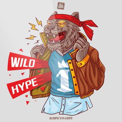 Download Sample pack Wild Hype