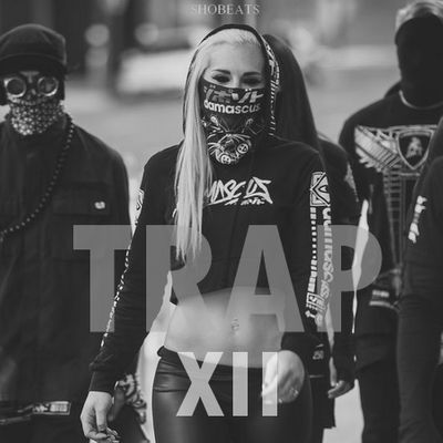 Download Sample pack TRAP XII (Sound Kits)